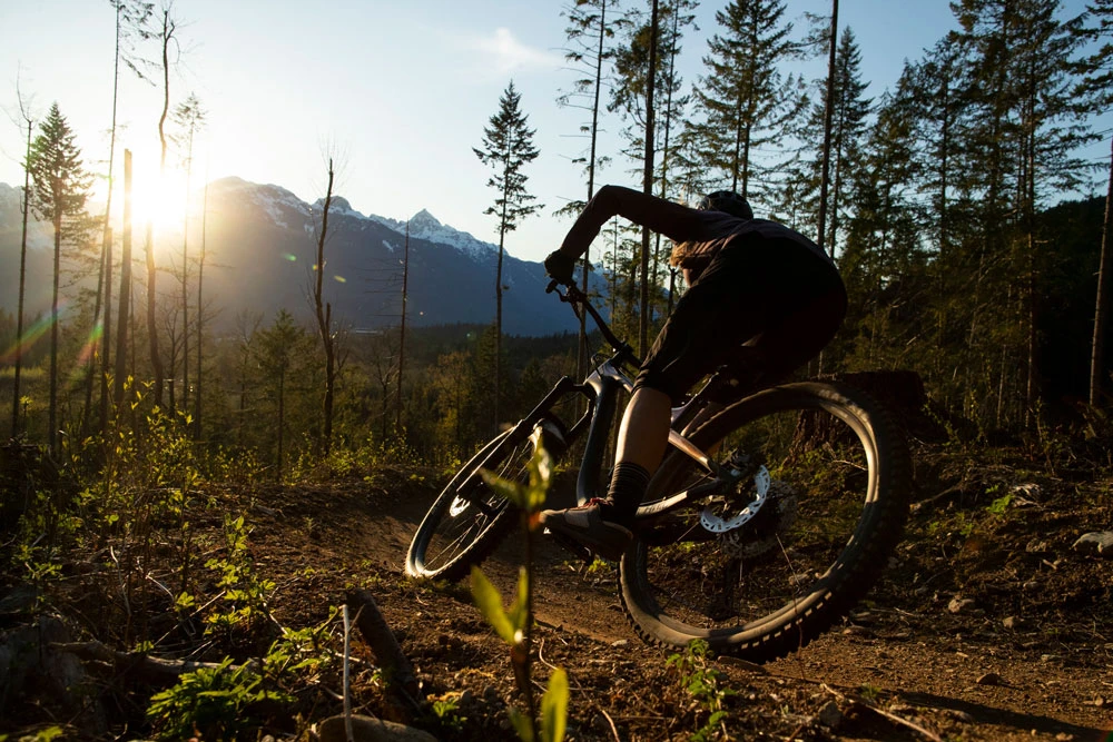 Shimano DEORE BL-M6100 Bremshebel Rechts – Bild 6